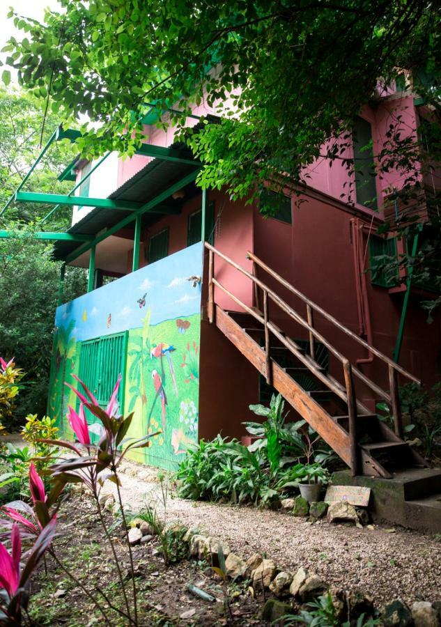 Nosara B&B Retreat Стая снимка